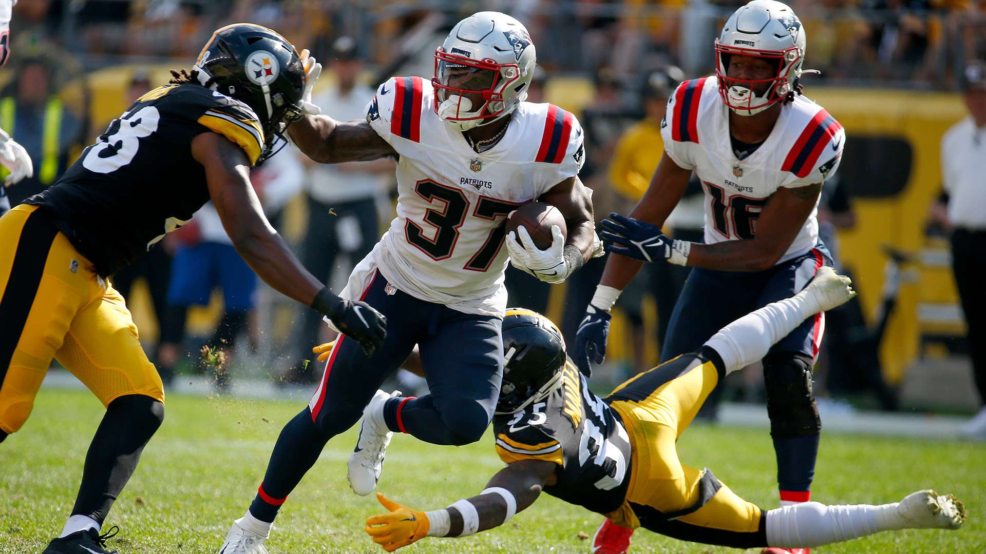 他都将肩负 他都将肩负